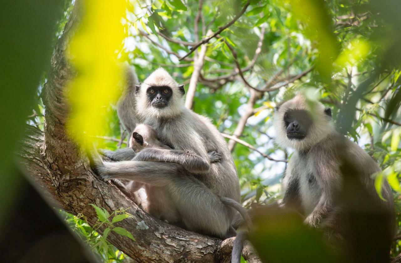 Хостел Waypoint Аругам-Бей Екстер'єр фото